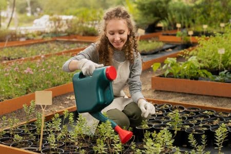 S Cheresse Canicule Les Astuces De Jardiniers Pour Sauver Plantes Et